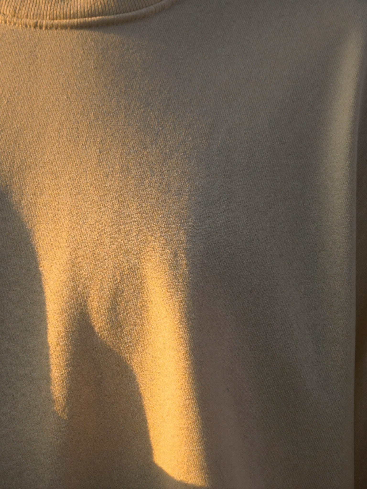 The bare 240 gsm cloth in raking golden light, the weave standing in relief